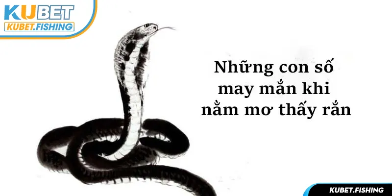 Những con số may mắn liên quan 